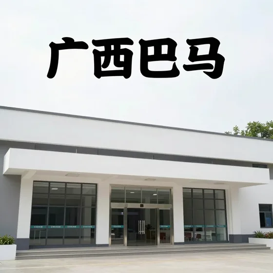 该品牌